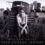 Meghan Hayes - Seen Enough Leavers
