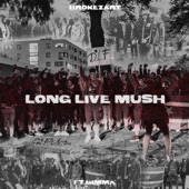 Long Live Mush (feat. Dimma) [Live] artwork