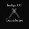 Tenebrae - Indigo 132 lyrics