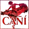 Cañí