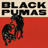 Black Pumas - Black Pumas (Deluxe) artwork