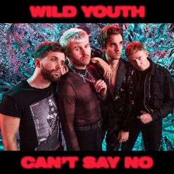 CAN'T SAY NO cover art