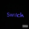 Switch - Single