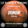 Troubled World (Demuir's Playboi Remix) song lyrics