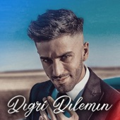 Dıgri Dılemın artwork