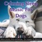 Relax My Dog - Relax My Dog lyrics