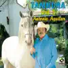 Tambora, Vol. 3 album lyrics, reviews, download