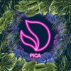 Pica - Single