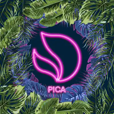 Pica - Single - Elvis Crespo