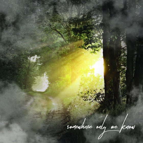 Cover artwork for Somewhere Only We Know (Deluxe Version)