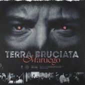 Terra Bruciata artwork