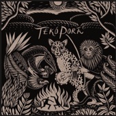 Tekó Porã artwork