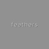Feathers - Single