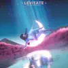 Levitate - Single album lyrics, reviews, download