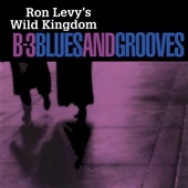 Ron Levy's Wild Kingdom - Prayin' the Blues