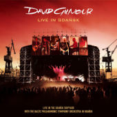 Comfortably Numb (Live) - David Gilmour