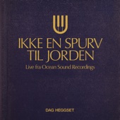 Ikke en spurv til jorden artwork