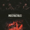 Indestructibles - Single
