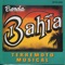 Compadre - Banda Bahía lyrics