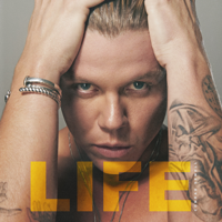 Love Me Anyway-Conrad Sewell