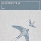 The Teskey Brothers - Forever You and Me