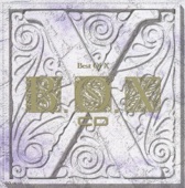 B.O.X.CD-Best of X- artwork