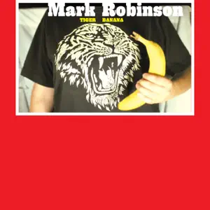 Mark Robinson