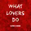 Stream & download What Lovers do - Single