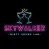 Skywalker (Demo) - Single album lyrics, reviews, download