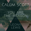 Calum Scott & Leona Lewis - You Are the Reason (Duet Version) artwork