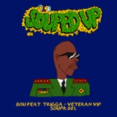 Veteran (VIP) [feat. Trigga] artwork