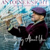 Something About You (feat. Gail Jhonson) - Single
