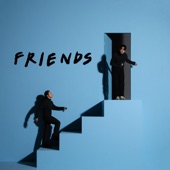 FRIENDS artwork