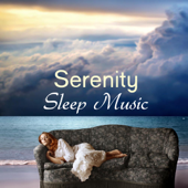 Zen Music - Sleep Music Sound