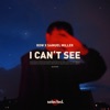 I Can't See - Single