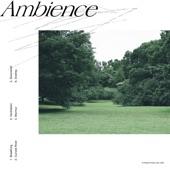 Ambience - EP artwork