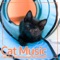 Pet Tunes - Cat Music, Cat Music Dreams & Cat Music Therapy lyrics