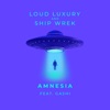 Loud Luxury & Ryan Shepherd - Amnesia