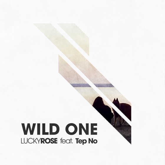 Cover artwork for Wild One (feat. Tep No)