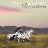 Tony Saunders - Blue Nickels