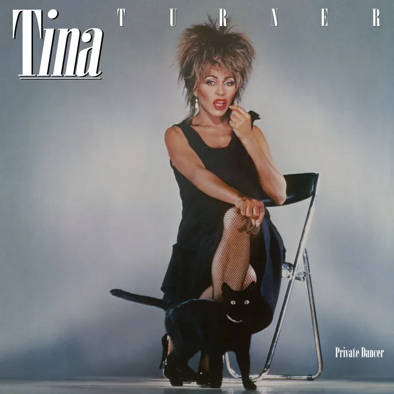 Tina Turner - Private Dancer (2015) [iTunes Plus AAC M4A]-新房子