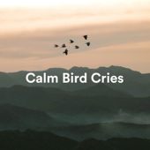Calm Bird Sounds - The Slumbering One