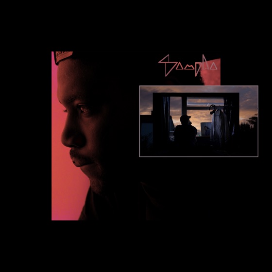 Cover artwork for Indecision