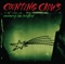Counting Crows - Angels Of The Silences (Acoustic)