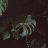 Sweet Dreams artwork