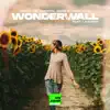 Wonderwall (feat. Lazorra) song lyrics