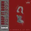 Drop It Down - Single album lyrics, reviews, download