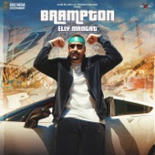 Brampton (feat. Harpreet Kalewal) artwork