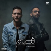 Fesam (feat. Amir Eid & Moaraz Mady) artwork