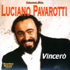 Vincerò!, 1995